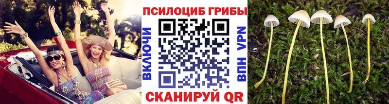 hydra как зайти  Давлеканово  Псилоцибиновые грибы Magic Shrooms 
