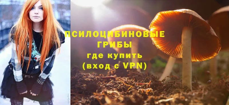 Галлюциногенные грибы MAGIC MUSHROOMS Давлеканово